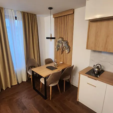 21st Century - Luxury With View And Garage Apartment *