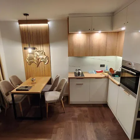 21st Century - Luxury With View And Garage Apartman