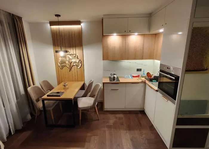 21st Century - Luxury With View And Garage Apartament